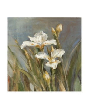Trademark Global Danhui Nai Spring Iris Ii Canvas Art In Multi