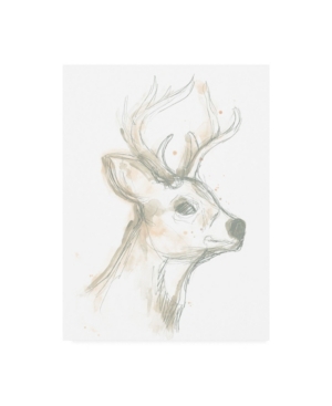 Trademark Global June Erica Vess Deer Cameo Iv Canvas Art In Multi
