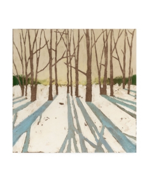 Trademark Global Megan Meagher Winter Shadows Ii Canvas Art In Multi