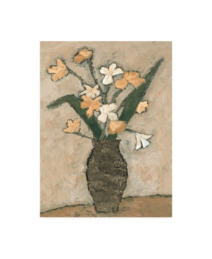 Trademark Global Judi Bagnato Flowers From B I Canvas Art In Multi