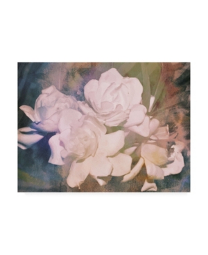 Trademark Global Sharon Chandler Blush Gardenia Beauty I Canvas Art In Multi
