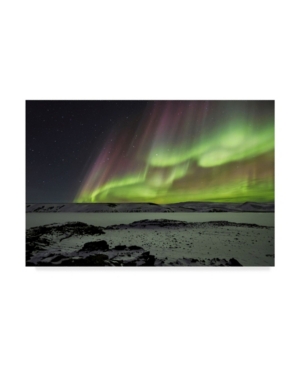 Bragi Ingibergsson Celestial Green Light Canvas Art - 20