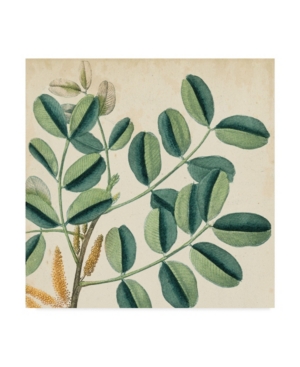 Vision Studio Garden Bounty Ix Canvas Art - 15