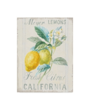 Shop Trademark Global Danhui Nai Floursack Lemon Ii Canvas Art In Multi