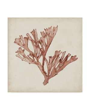 Trademark Global Naomi Mccavitt Seaweed Specimens Xiii Canvas Art In Multi