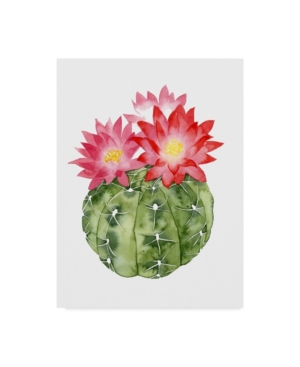 Trademark Global Grace Popp Cactus Bloom Iii Canvas Art In Multi