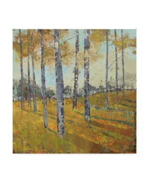 Shop Trademark Global Julie Joy Thicket On The Hill I Canvas Art In Multi