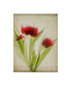 TRADEMARK GLOBAL JUDY STALUS PARCHMENT FLOWERS I CANVAS ART