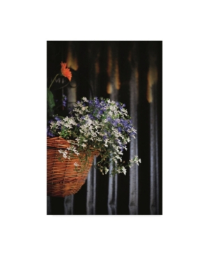 Christine Sainte-Laudy Blue and White Flowered Waterfall Canvas Art - 20