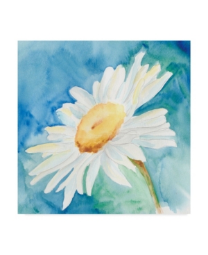 Trademark Global Regina Moore Daisy Sunshine I Canvas Art - 15" X 20" In Multi