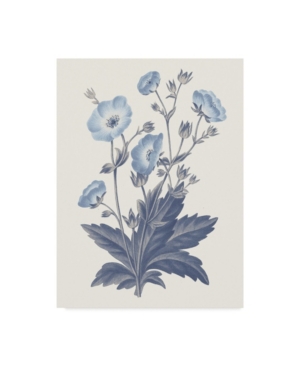 Wild Apple Portfolio Blue Botanical Vi Canvas Art - 20