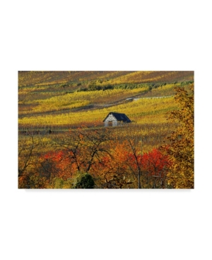 TRADEMARK GLOBAL PHILIPPE SAINTE-LAUDY THE HOUSE OF VINES CANVAS ART