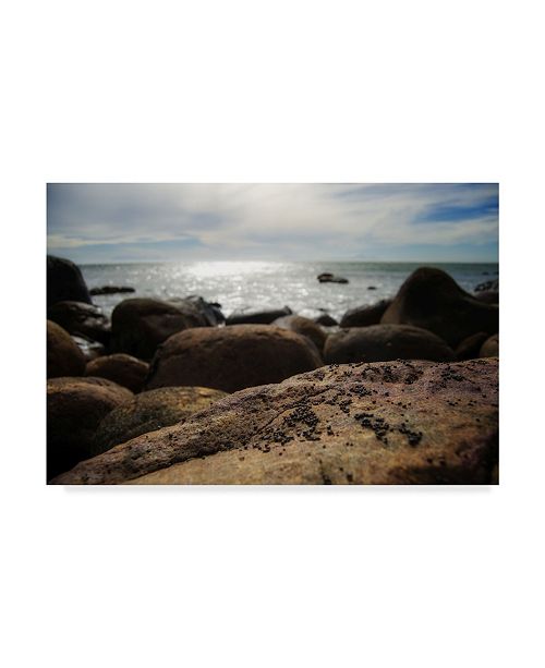 Pixie Pics Stone Landscape Canvas Art 15 X 20