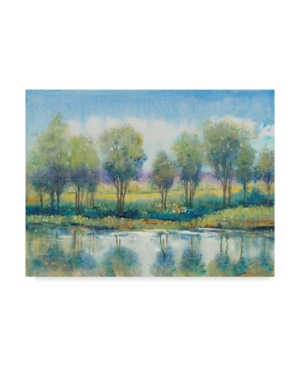 Trademark Global Tim Otoole River Reflection I Canvas Art In Multi