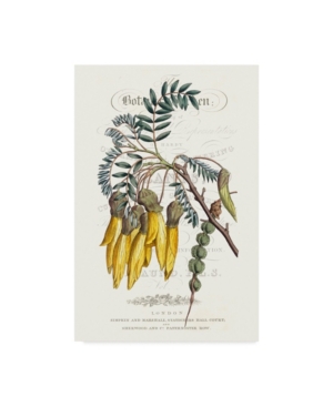 Vision Studio Flower Garden Varietals Iii Canvas Art - 20