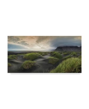 Danny Head Black Dunes Panorama Canvas Art - 20