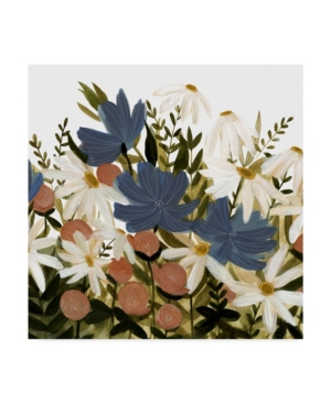 Shop Trademark Global Emma Scarvey Wildflower Garden Ii Canvas Art In Multi