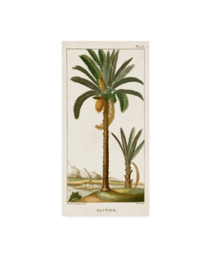 Trademark Global Turpin Turpin Exotic Palms Iv Canvas Art In Multi