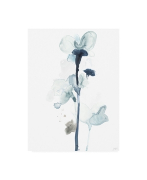 Trademark Global June Erica Vess Midnight Blossoms I Canvas Art In Multi