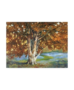 Graham Reynolds Golden Light Ii Canvas Art - 20