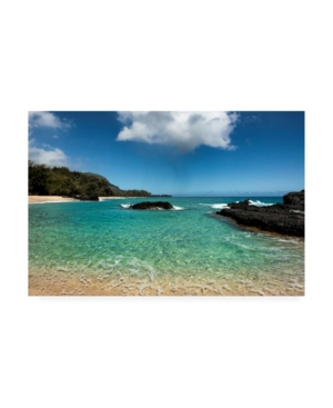 Trademark Global Danny Head Paradise Coastline Canvas Art In Multi