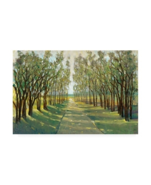 Trademark Global Tim Otoole Forest Path Canvas Art In Multi