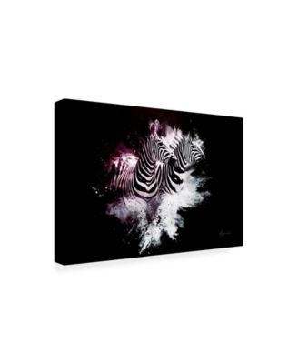 Trademark Global Philippe Hugonnard Wild Explosion Collection - the Zebras Canvas Art - 36.5" x 48"
