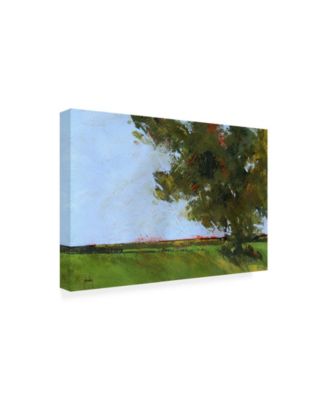 Trademark Global Paul Baile Autumn Oak and Empty Fields Canvas Art - 36.5" x 48"