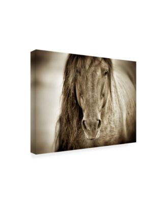 Lisa Dearin Mustang Sally Horse Canvas Art - 19.5" x 26"