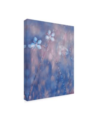 Trademark Global Delphine Devos The Flower Duet Canvas Art - 15" x 20"