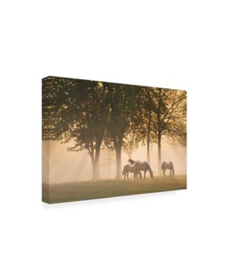 Trademark Global Monte Nagler Horses in the Mist Canvas Art - 20" x 25"