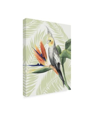 Trademark Global Grace Popp Avian Paradise I Canvas Art - 20" x 25"