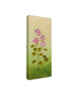 Trademark Global Pablo Esteban Flowers Over Green Gradient 3 Canvas Art - 27" x 33.5"