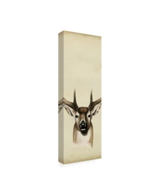 Trademark Global Grace Popp Triptych Whitetail II Canvas Art - 36.5" x 48"