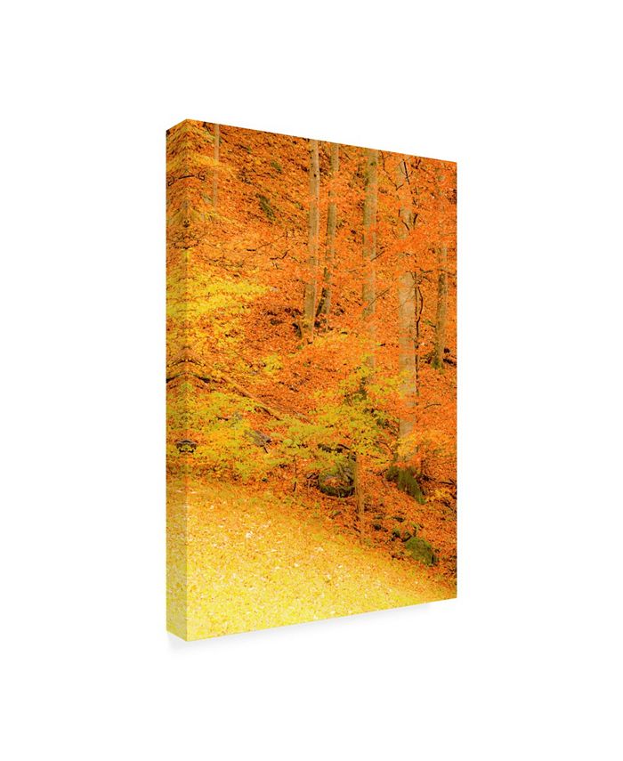 Trademark Global Dan Ballard Yellow Foliage Autumn Canvas Art - 36.5