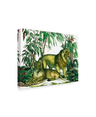 Trademark Global Wild Apple Portfolio Jungle Flair VI Canvas Art - 15" x 20"