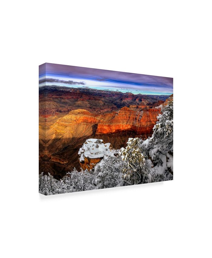 Trademark Global David Drost Snowy Grand Canyon IV Canvas Art - 20