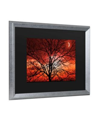 Philippe Sainte-Laudy Big Bad Moon Matted Framed Art - 20" x 25"