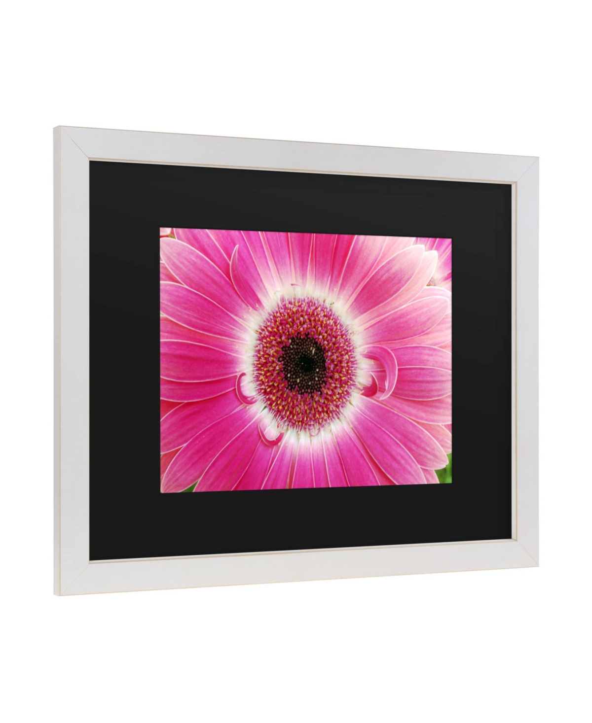 Kurt Shaffer Pink Gerber Matted Framed Art -