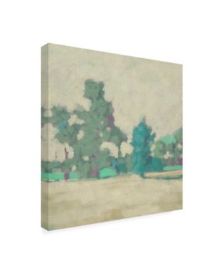 Trademark Global Chariklia Zarris Surround Scape I Canvas Art - 27" x 33"