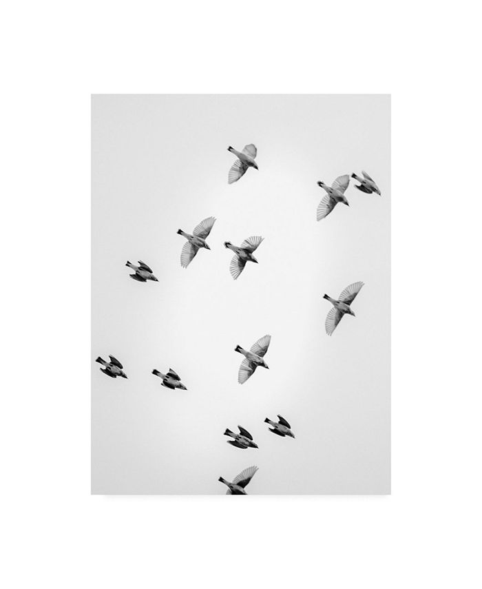 Trademark Global - 