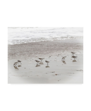Trademark Global Brooke T. Ryan Sandpipers Canvas Art In Multi