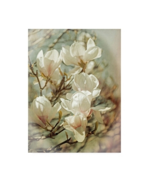 Trademark Global Brooke T. Ryan Vintage Inspired Magnolias Canvas Art In Multi