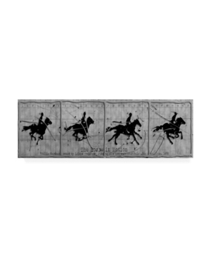 Trademark Global Roderick Stevens Horse In Motion Canvas Art In Multi