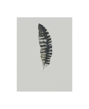 Trademark Global Incado Feather 05 Canvas Art In Multi