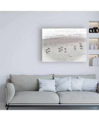 Brooke T. Ryan Sandpipers Canvas Art - 36.5" x 48"