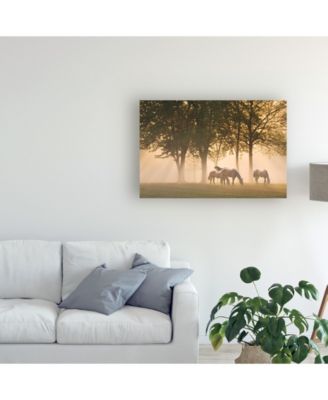 Trademark Global Monte Nagler Horses in the Mist Canvas Art - 20" x 25"