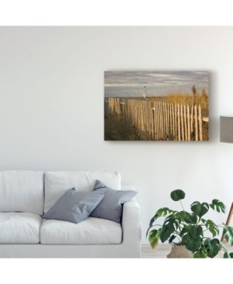 Aledanda Along the Beach Fence I Canvas Art - 20" x 25"