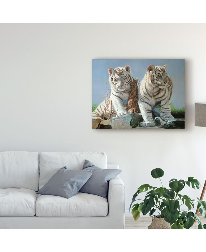 Trademark Global Pip Mcgarry White Tiger Cubs Playing Canvas Art - 20 ...