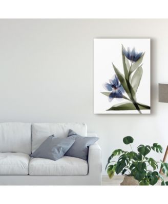 Judy Stalus Xray Tulip VI Canvas Art - 15" x 20"